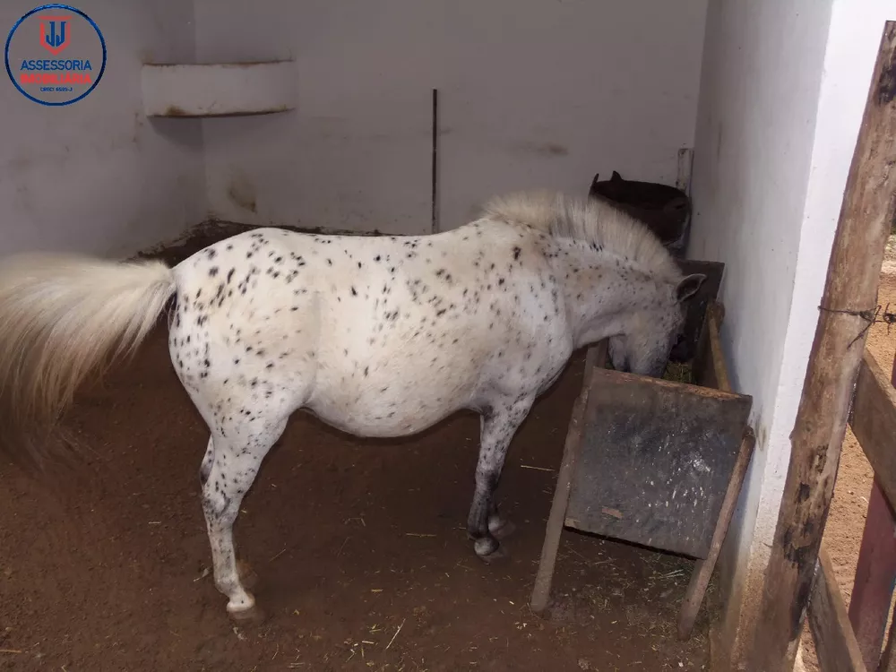 Chácara, 3 quartos, 1 hectares - Foto 26