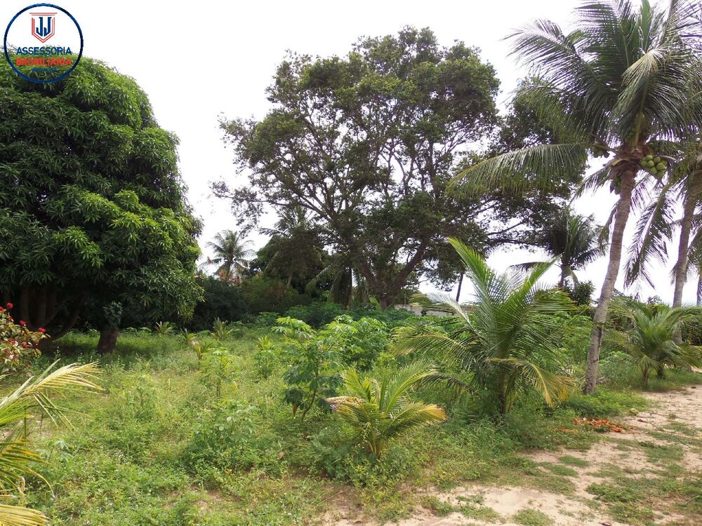 Chácara à venda e aluguel com 3 quartos, 15000m² - Foto 9