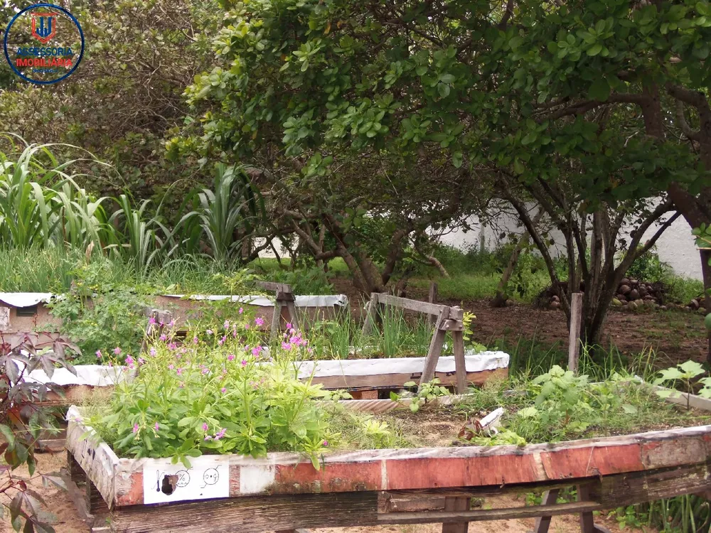 Chácara, 3 quartos, 1 hectares - Foto 34