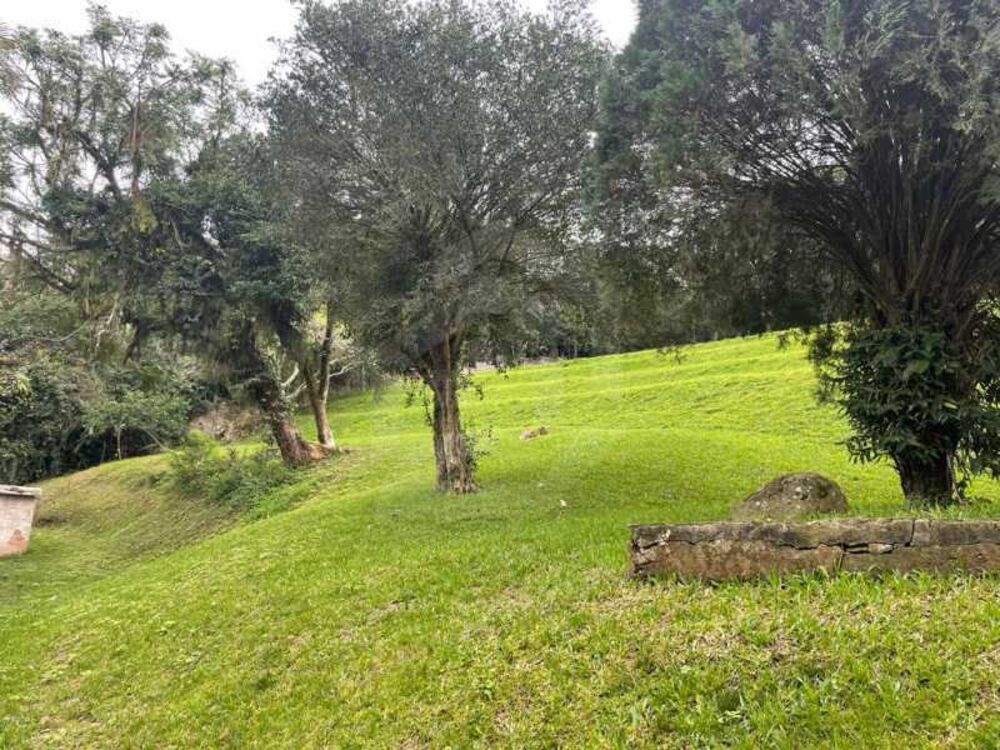 Casa, 5 quartos, 400 m² - Foto 11