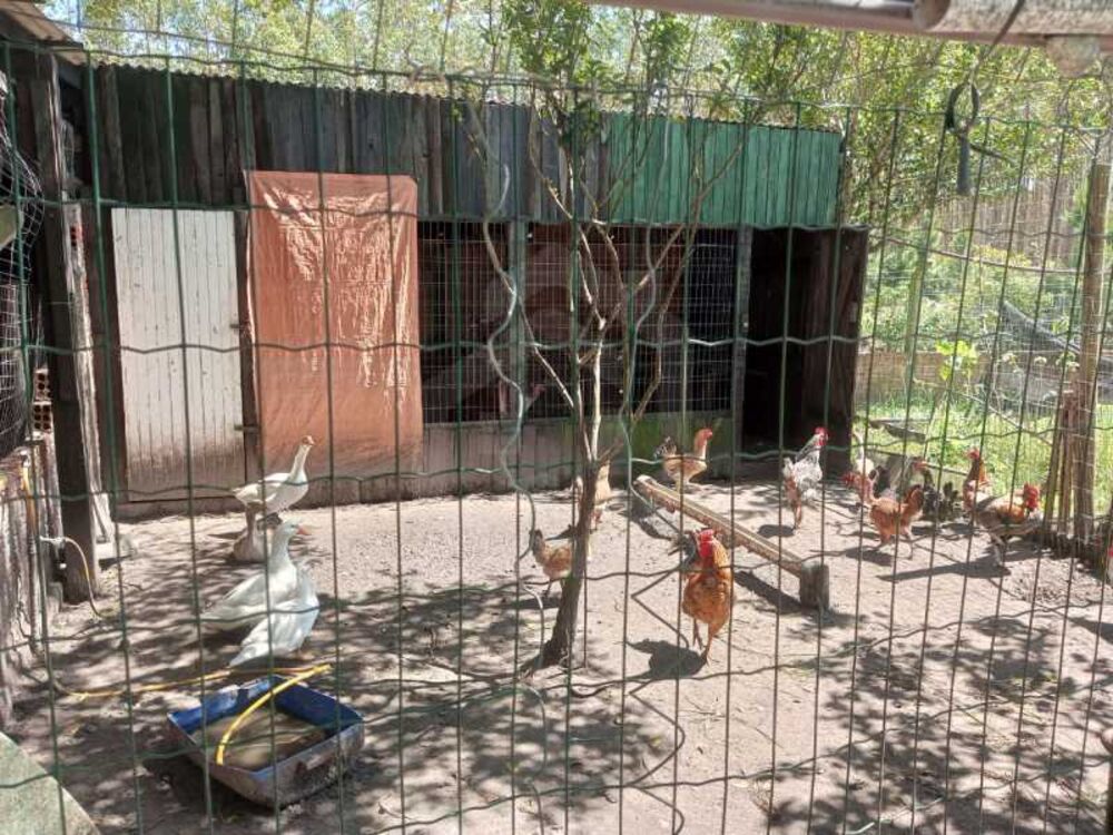 Casa, 3 quartos, 150 m² - Foto 6