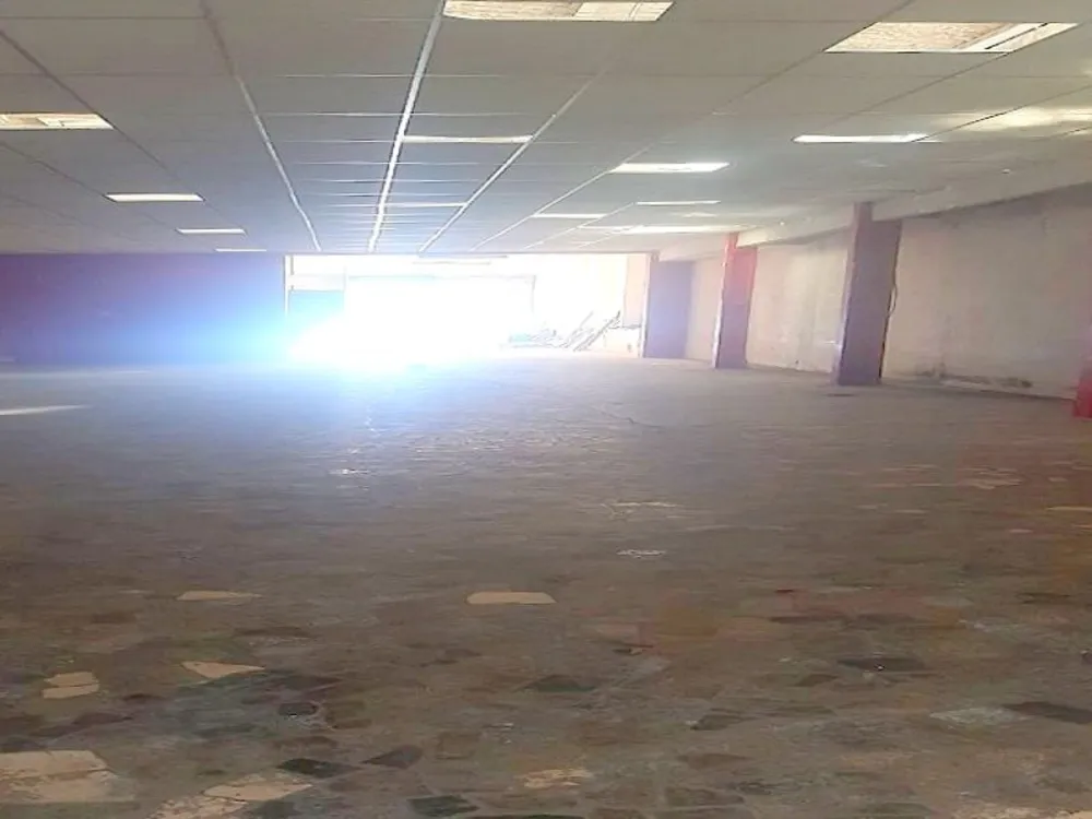 Depósito-Galpão, 650 m² - Foto 3