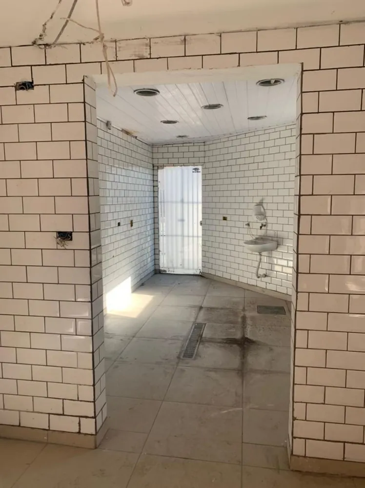 Casa, 3 quartos, 480 m² - Foto 3