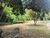 Terreno, 1196 m² - Foto 3