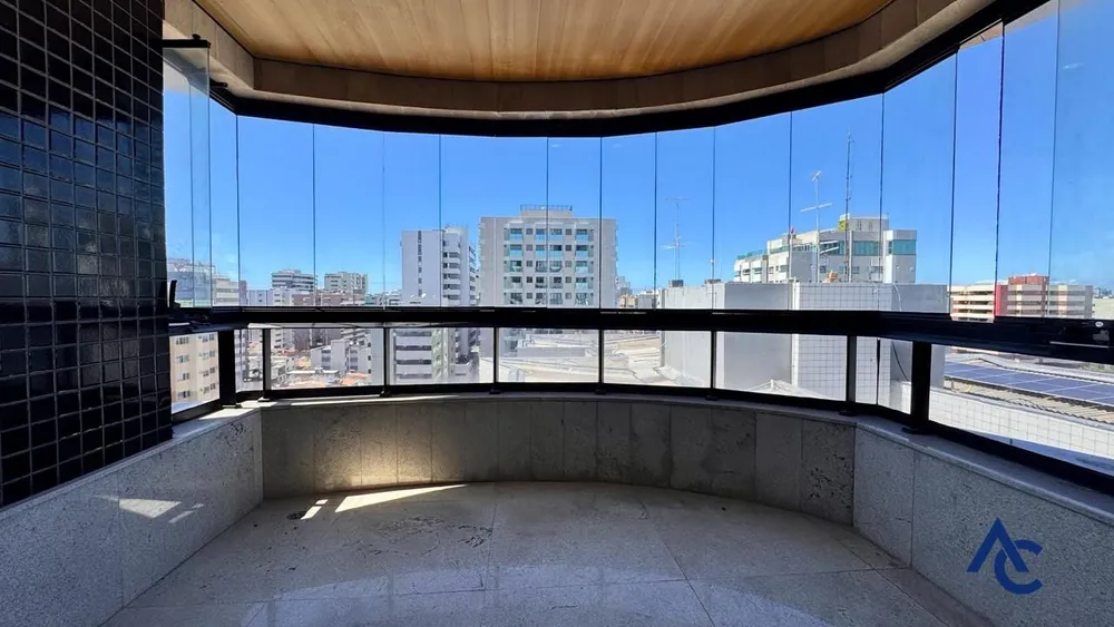 Cobertura, 4 quartos, 313 m² - Foto 4