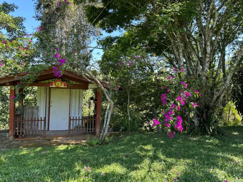 Casa, 4 quartos - Foto 5