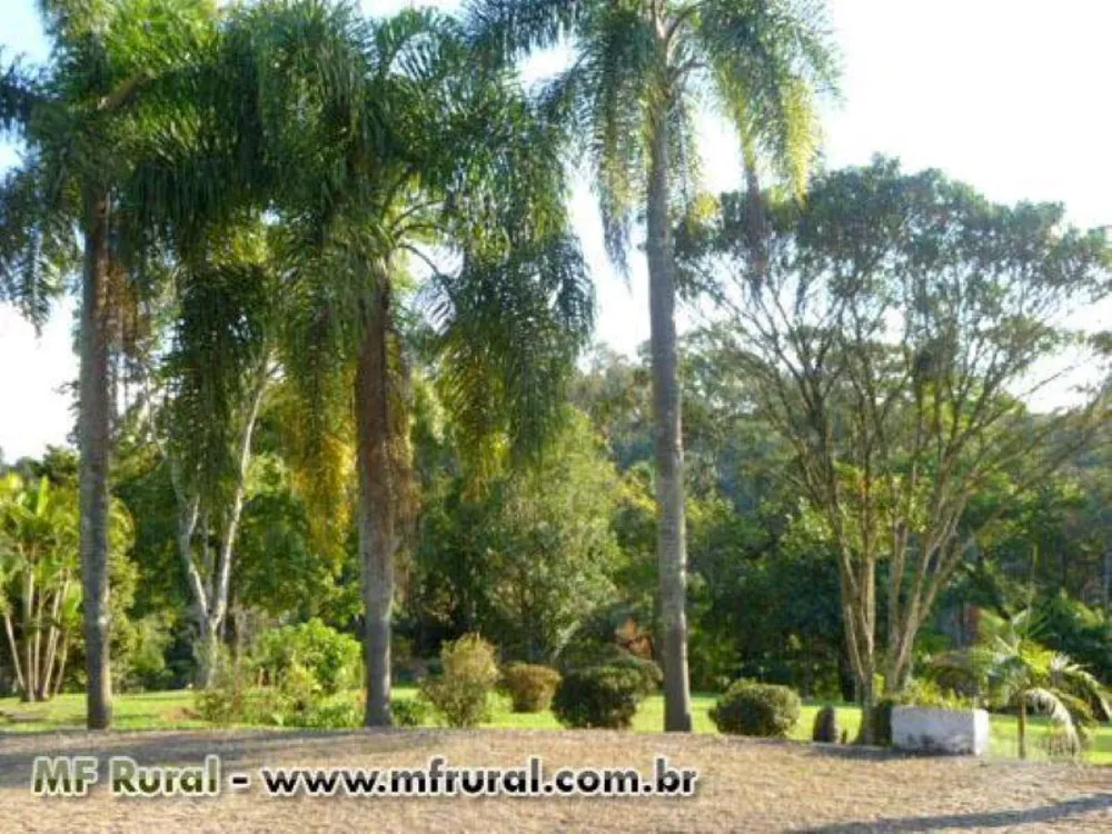 Sítio, 2 quartos, 3 hectares - Foto 4