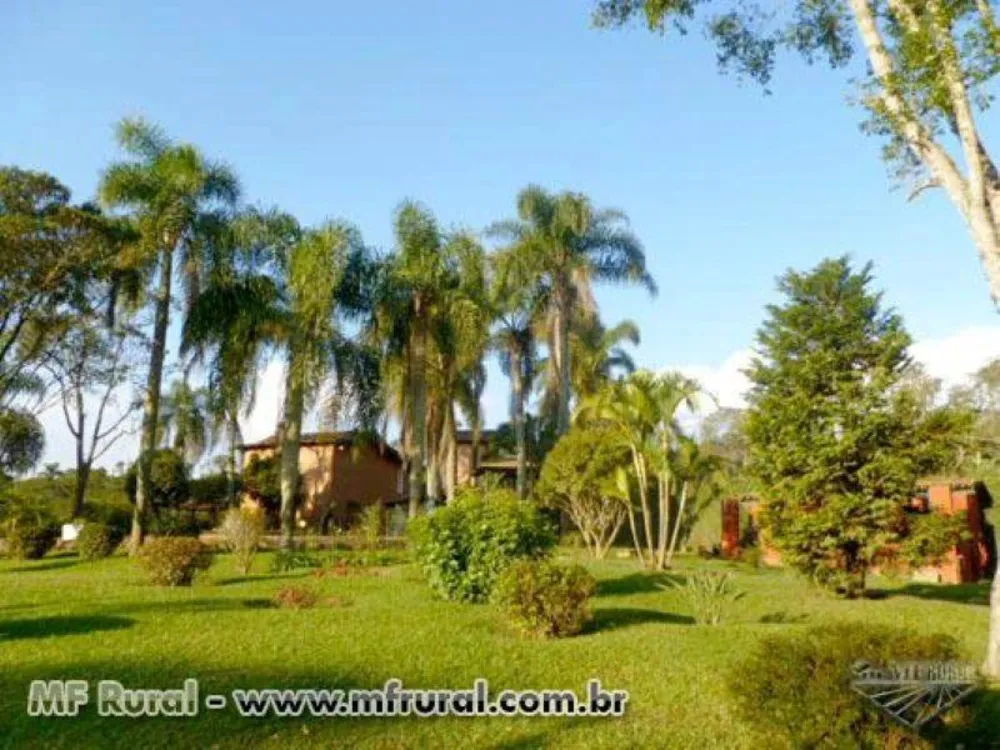 Sítio, 2 quartos, 3 hectares - Foto 1