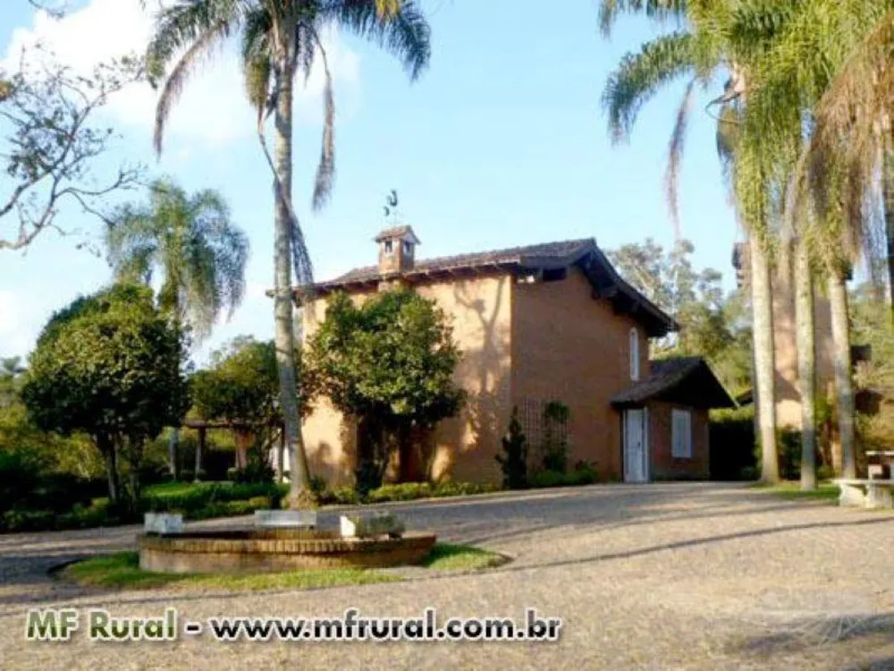 Sítio, 2 quartos, 3 hectares - Foto 2