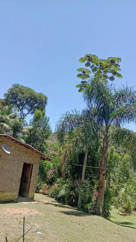 Chácara, 2 quartos, 2370 m² - Foto 1