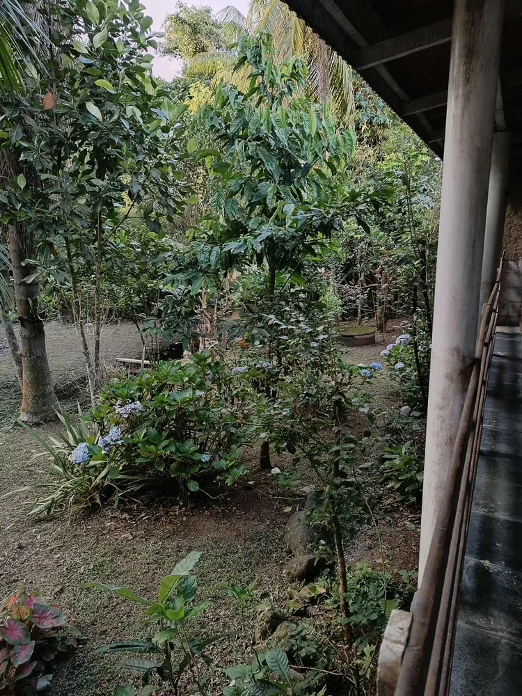 Chácara, 2 quartos, 1600 m² - Foto 3