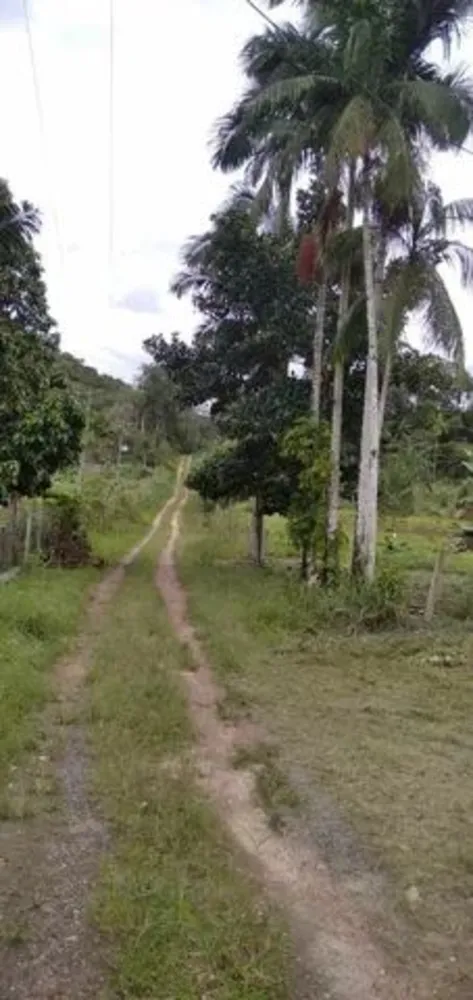 Casa, 5000 m² - Foto 3