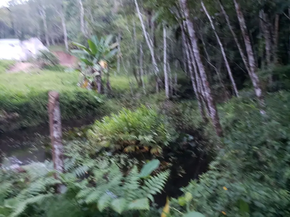 Casa, 5000 m² - Foto 5