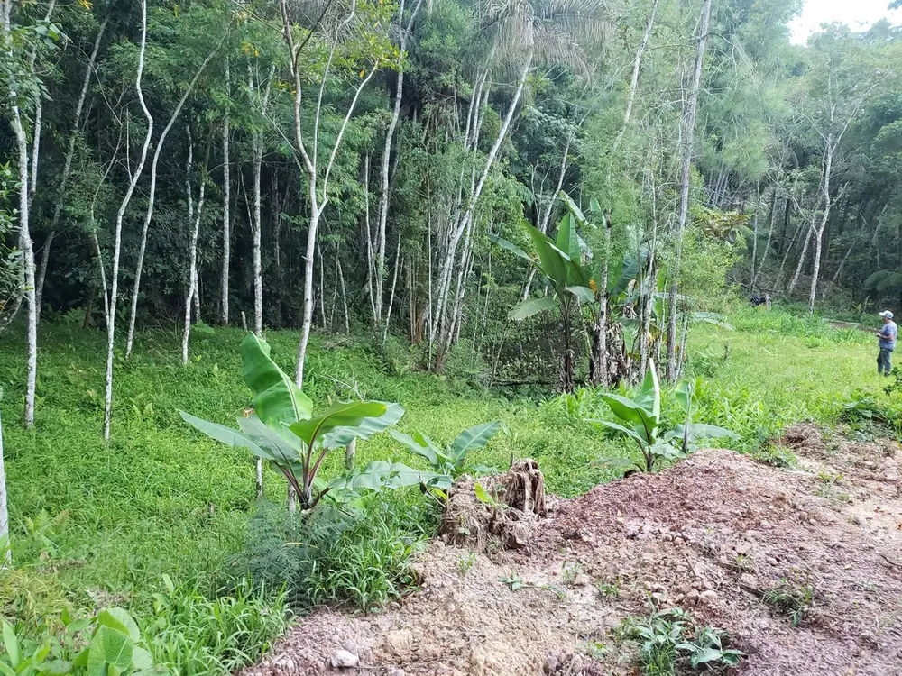Casa, 5000 m² - Foto 3