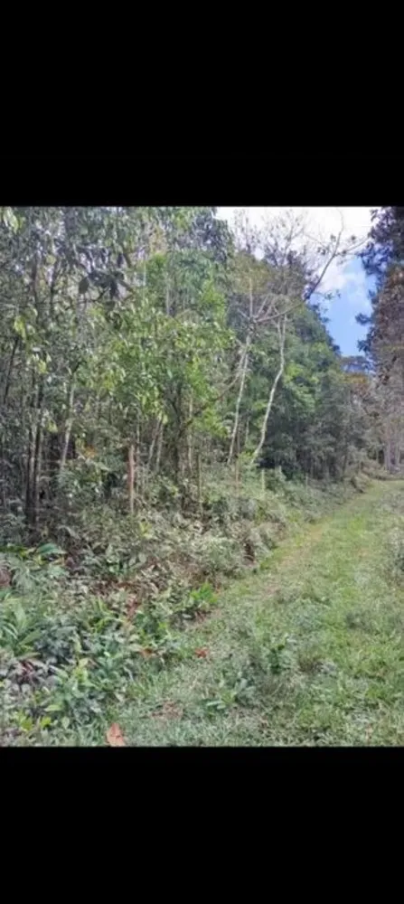 Casa, 30000 m² - Foto 5