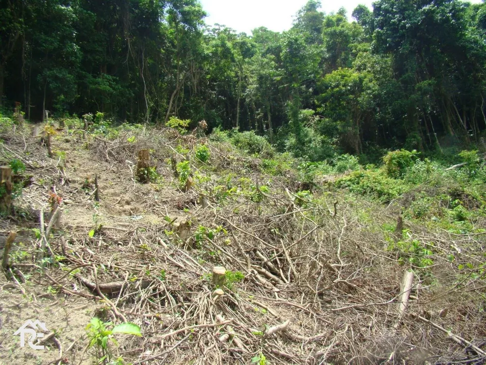 Terreno, 1 hectares - Foto 3