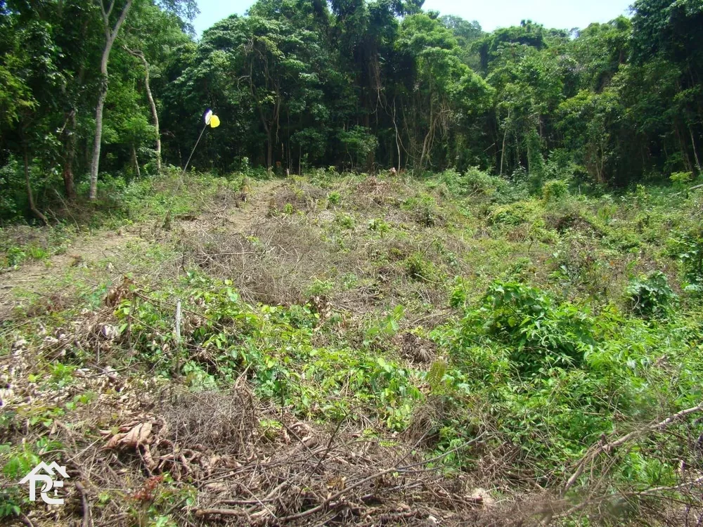 Terreno, 1 hectares - Foto 1