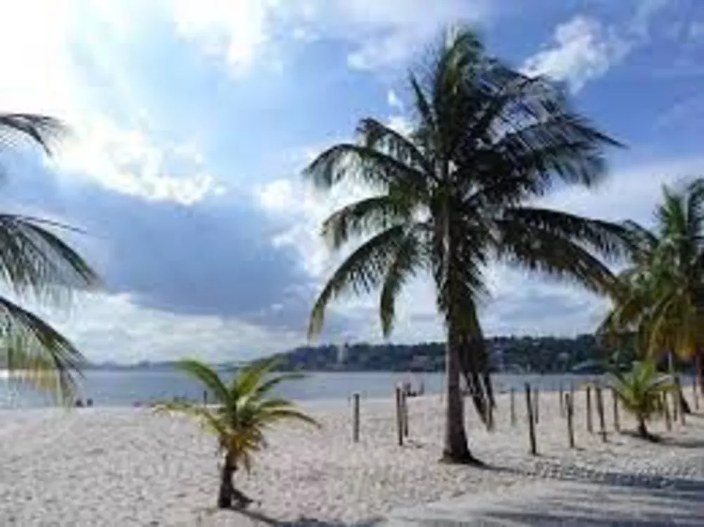 Terreno, 3180 m² - Foto 7