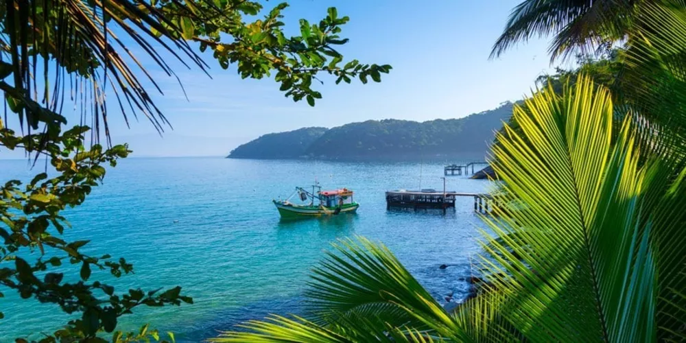 Casa, 5 quartos, 590 m² - Foto 6