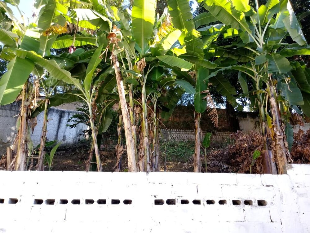 Casa, 2 quartos, 240 m² - Foto 40