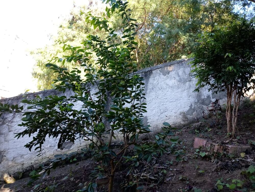 Casa, 2 quartos, 240 m² - Foto 43