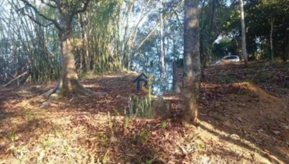 Terreno, 2 hectares - Foto 6