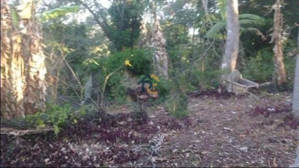 Terreno, 2 hectares - Foto 7