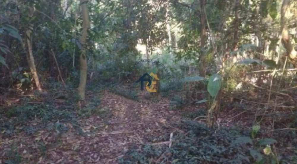 Terreno, 2 hectares - Foto 8