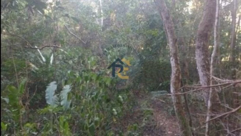 Terreno, 2 hectares - Foto 9