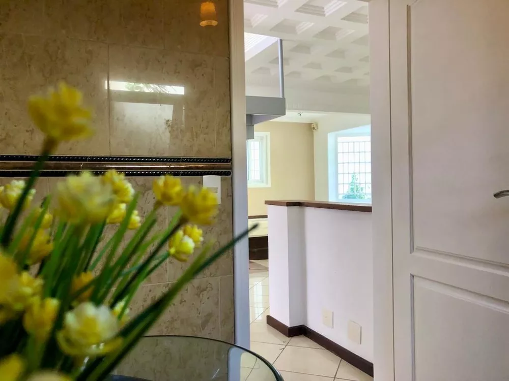 Casa, 4 quartos, 250 m² - Foto 19