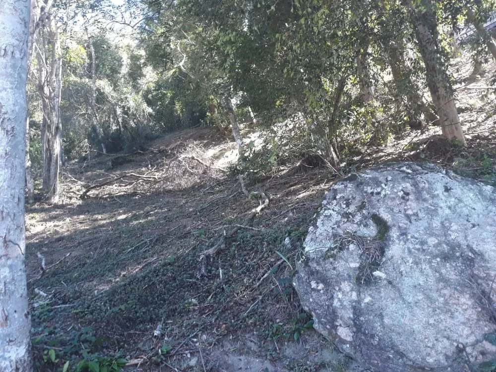 Terreno à venda, 800 - Foto 3