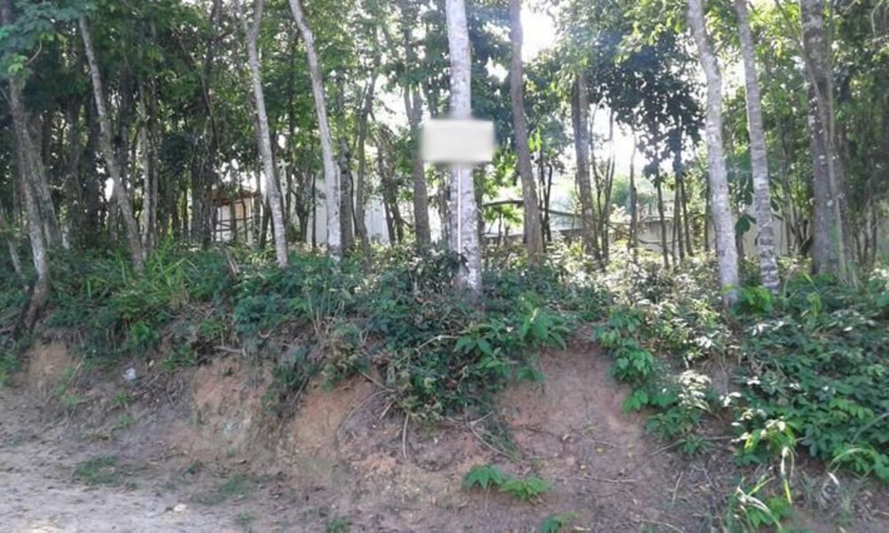 Terreno à venda, 508 - Foto 1