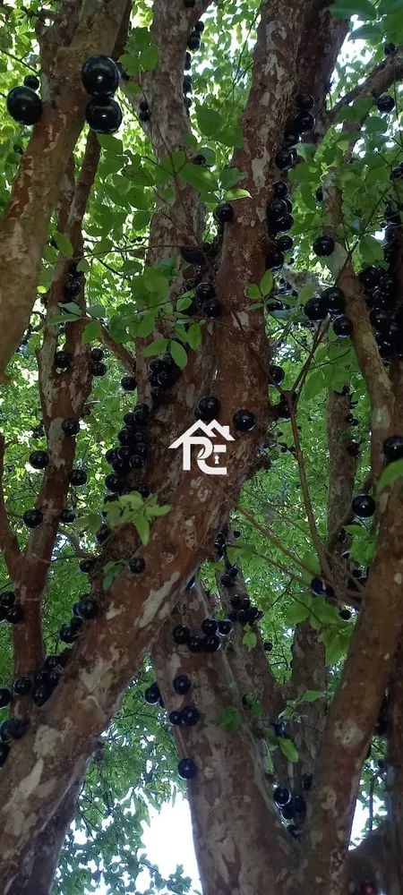 Casa, 2 quartos, 60 m² - Foto 7