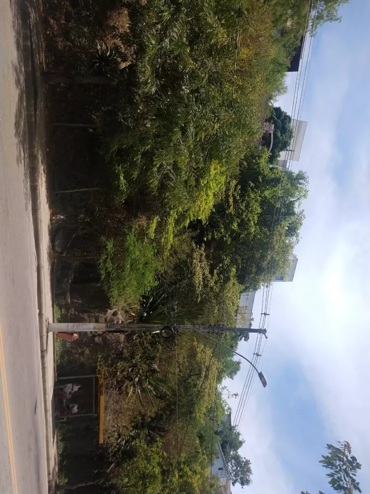 Terreno, 450 m² - Foto 2