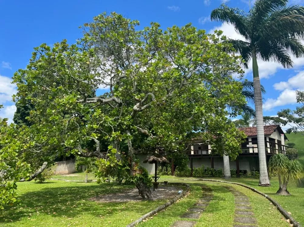 Sítio, 3 quartos, 5000 m² - Foto 4