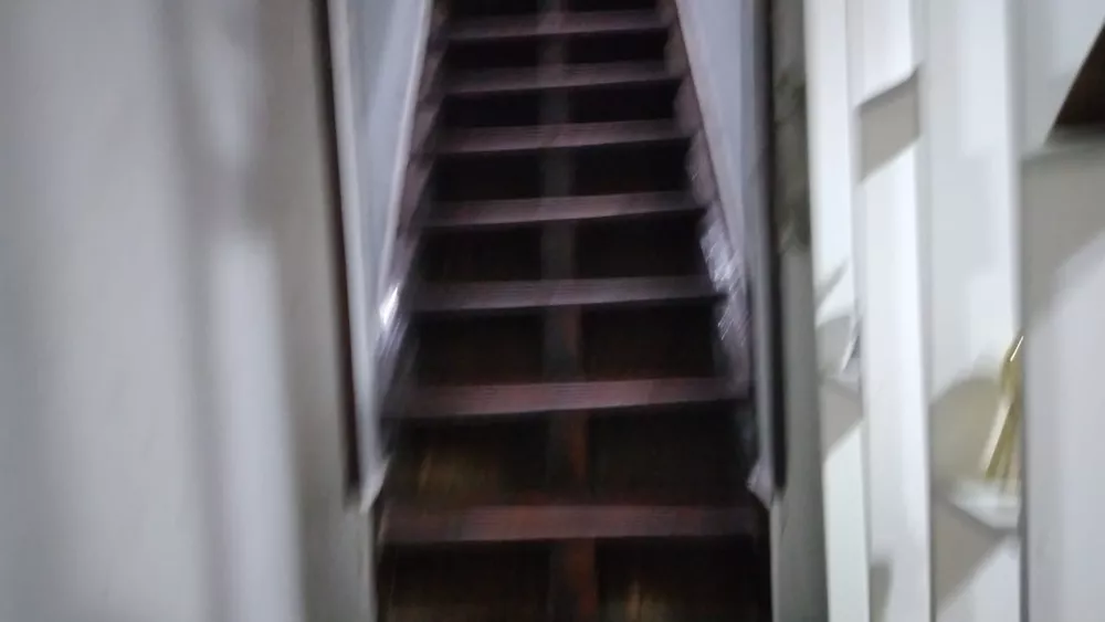 Casa, 3 quartos, 256 m² - Foto 9