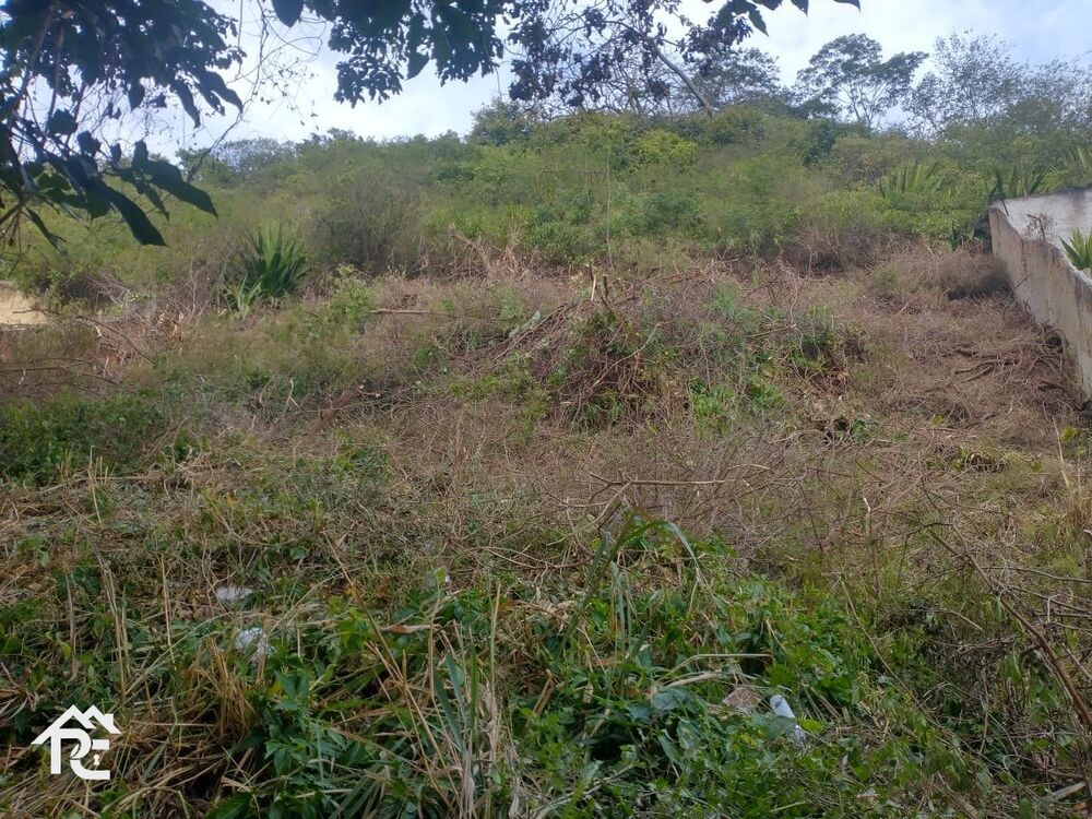 Terreno, 890 m² - Foto 4