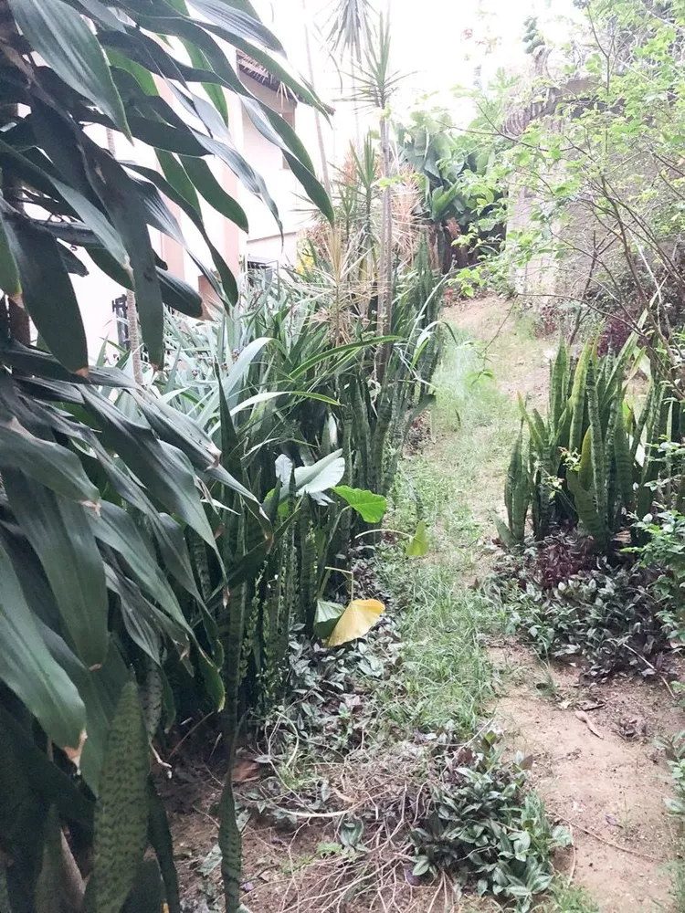 Casa, 5 quartos, 400 m² - Foto 30