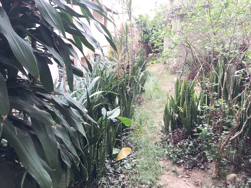 Casa, 5 quartos, 400 m² - Foto 45