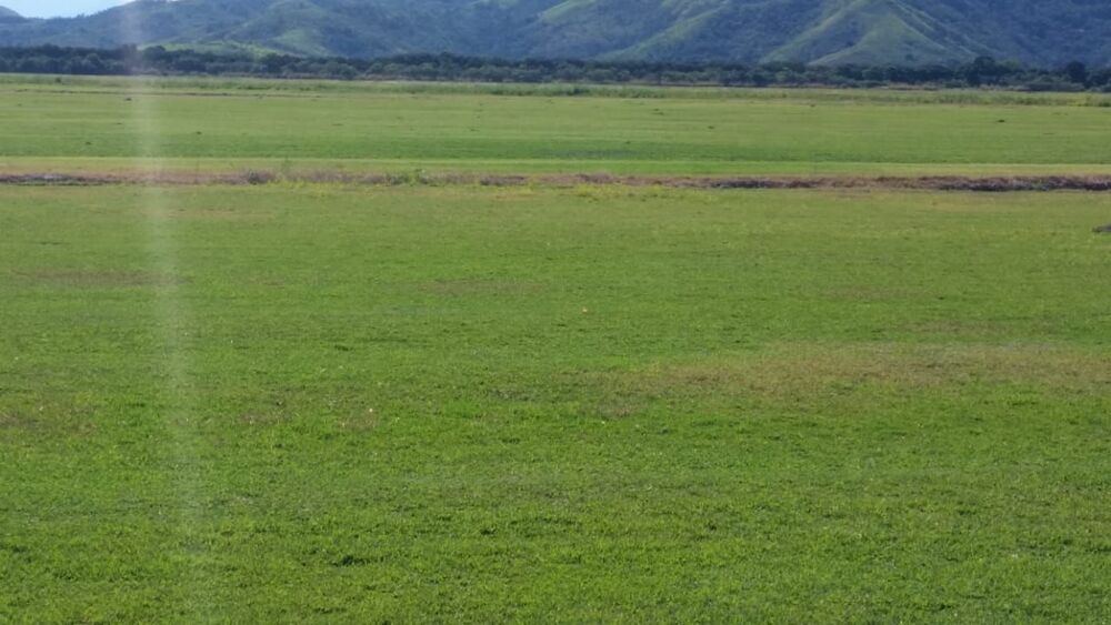 Fazenda à venda com 1 quarto, 2400000 - Foto 5