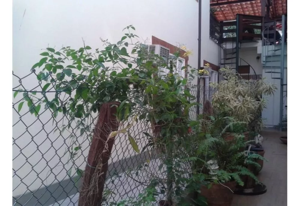 Casa, 4 quartos, 160 m² - Foto 36