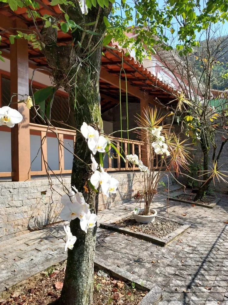 Casa, 4 quartos, 128 m² - Foto 29
