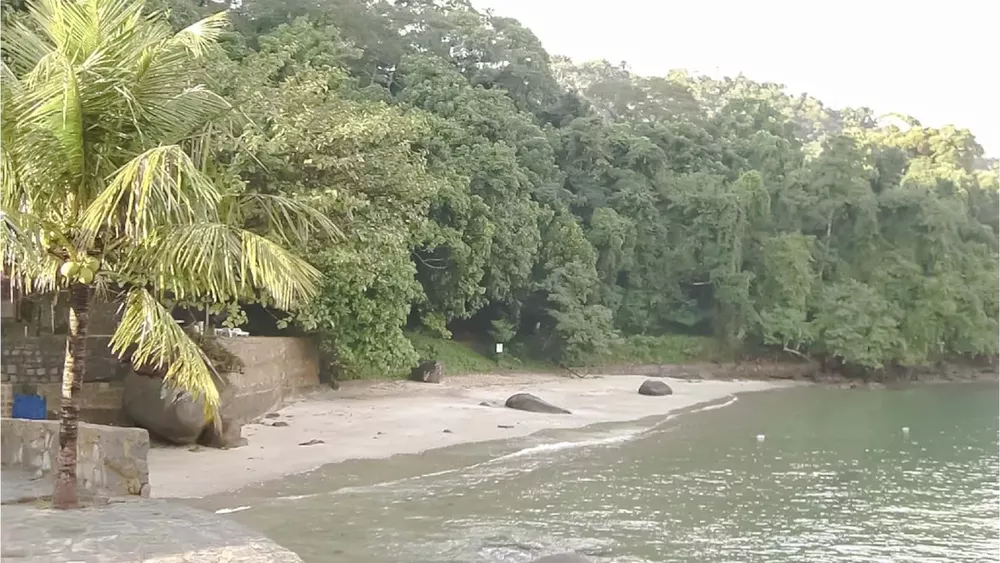 Casa, 4 quartos, 900 m² - Foto 43