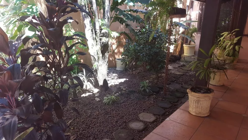 Casa, 4 quartos, 900 m² - Foto 7