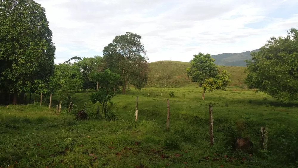 Sítio, 6 quartos, 15 hectares - Foto 8