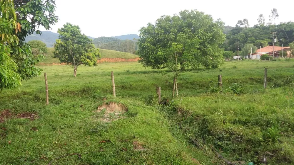 Sítio, 6 quartos, 15 hectares - Foto 3