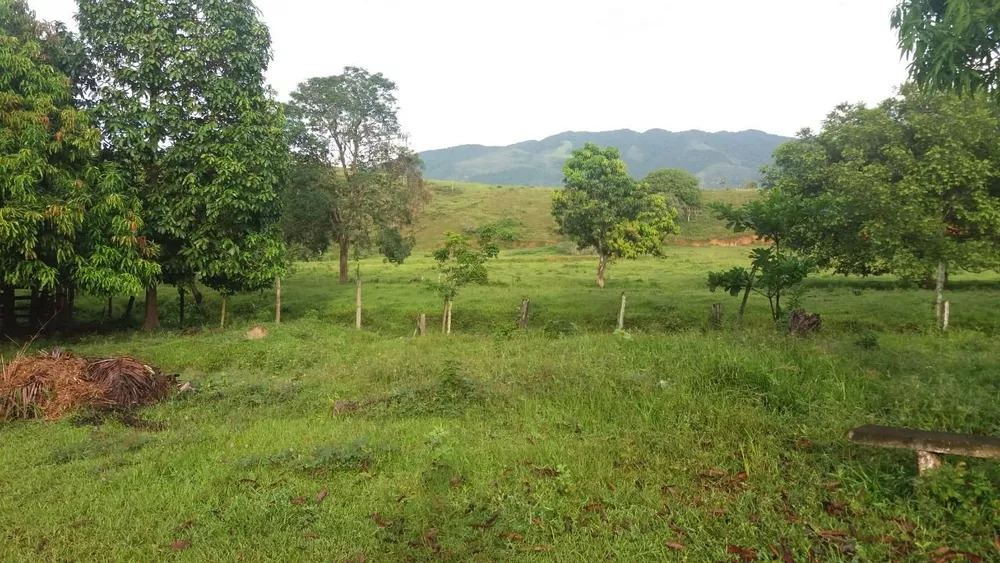 Sítio, 6 quartos, 15 hectares - Foto 9