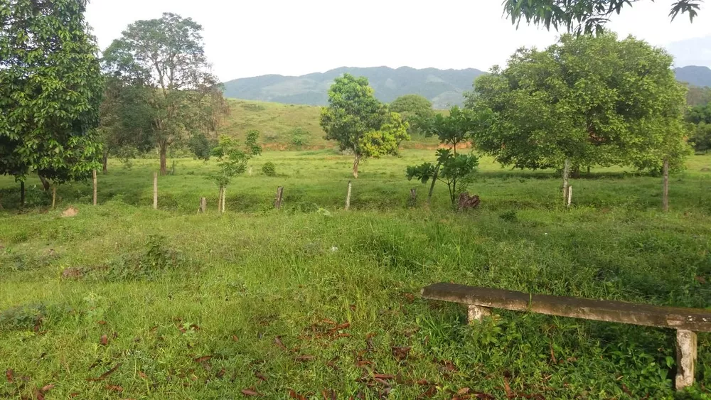 Sítio, 6 quartos, 15 hectares - Foto 10