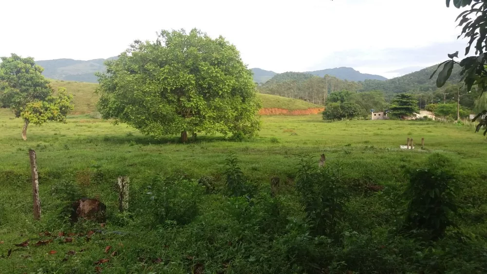Sítio, 6 quartos, 15 hectares - Foto 6