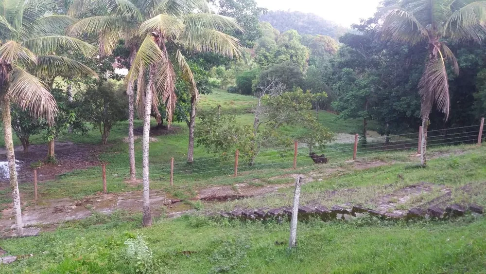 Sítio, 6 quartos, 15 hectares - Foto 2